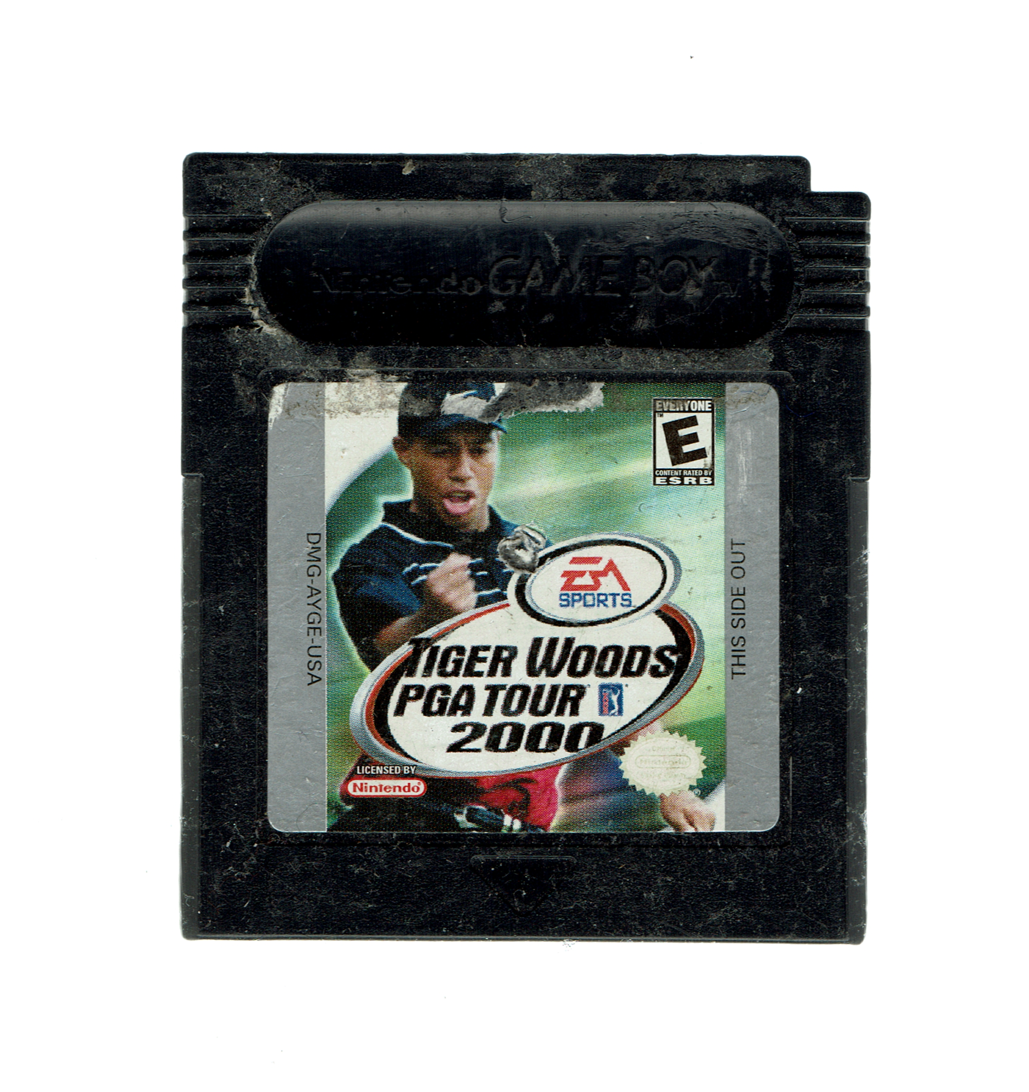 Tiger Woods PGA Tour 2000